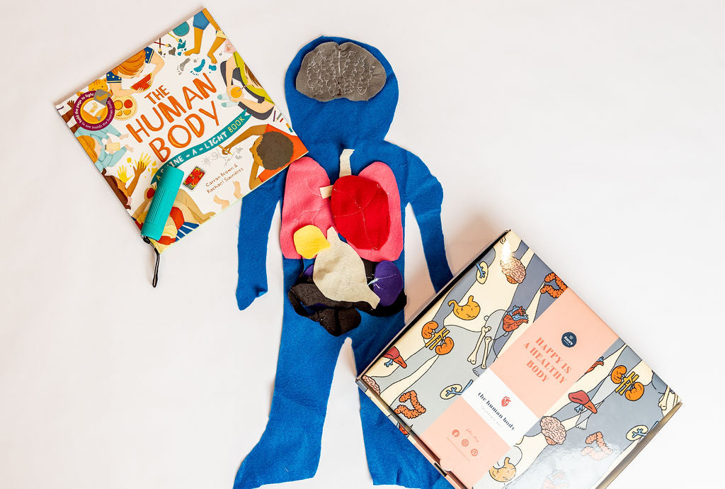 The Human Body Box
